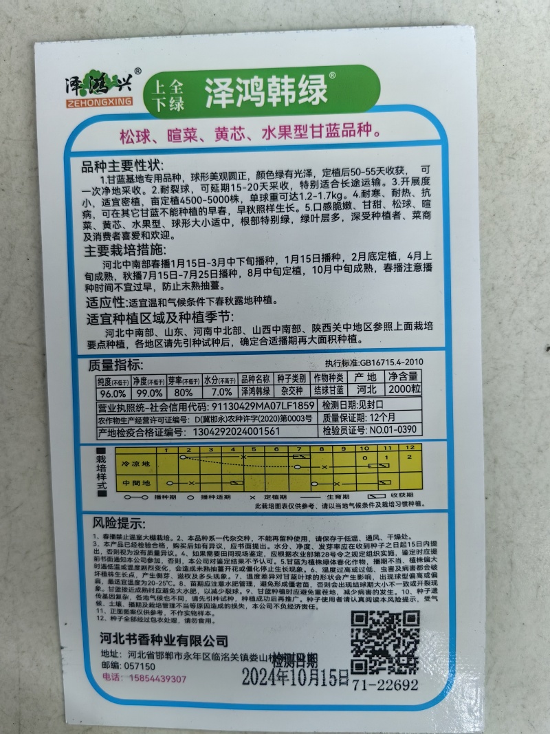 泽鸿韩绿甘蓝种子黄心松软暄菜水果型春秋早熟球形甘蓝包菜种