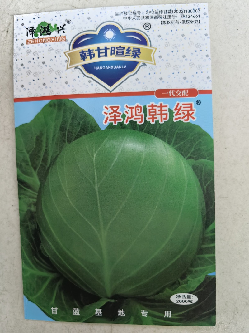 泽鸿韩绿甘蓝种子黄心松软暄菜水果型春秋早熟球形甘蓝包菜种
