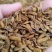 黑水虻蛋白虫干***********