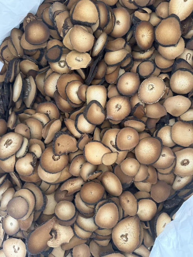 化橘红圆果片，压果片一手货源价格优惠