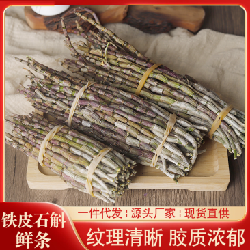 云南铁皮石斛鲜条产地直发量大价优欢迎各老板咨询