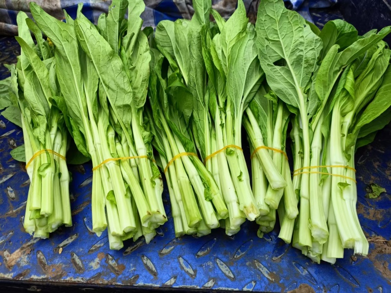 白菜苔