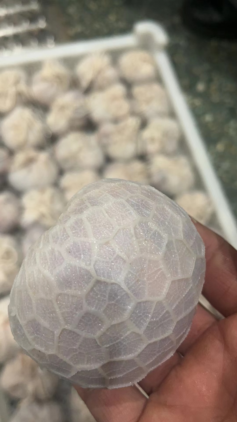 肚包肉