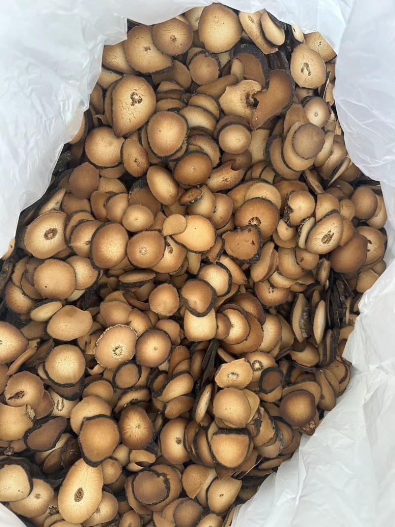 化橘红圆果片精品片，质量一手货源，货源充足批发