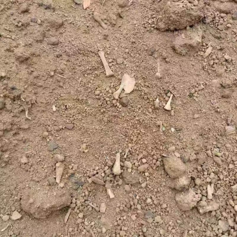 高品质生物有机肥肉粉发酵肥每克20亿菌改善土壤
