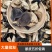 地道新会陈皮断皮五折促销陈皮碎陈皮茶