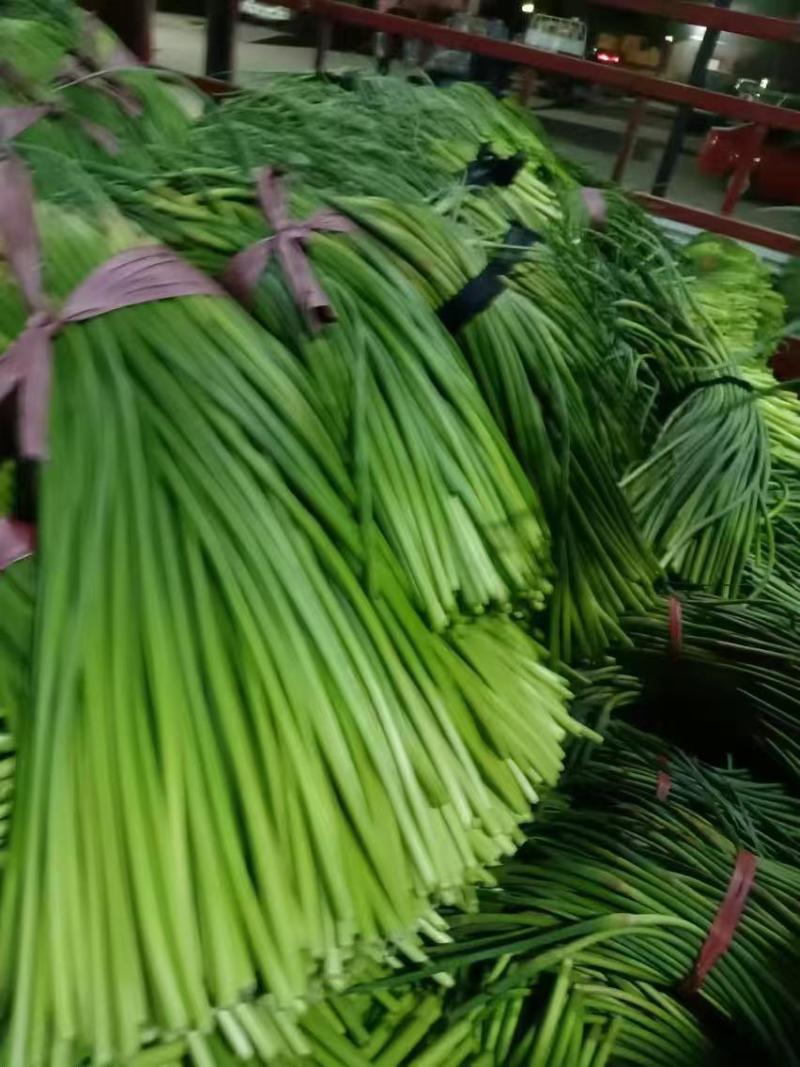 蒜薹