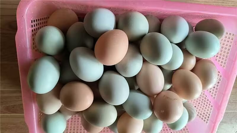 【优选】湖北散养土鸡蛋大量供应价格便宜视频看货
