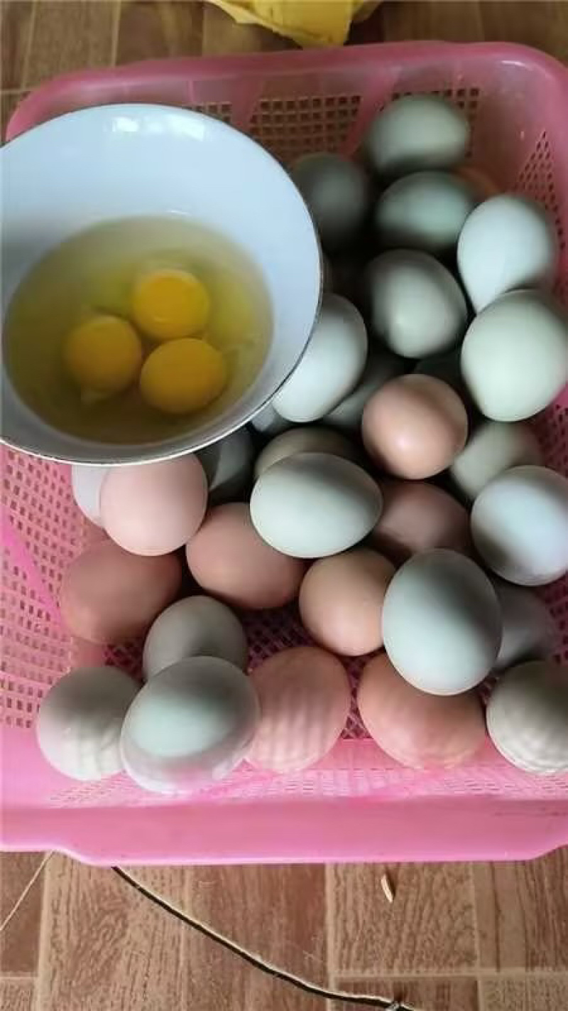 【优选】湖北散养土鸡蛋大量供应价格便宜视频看货