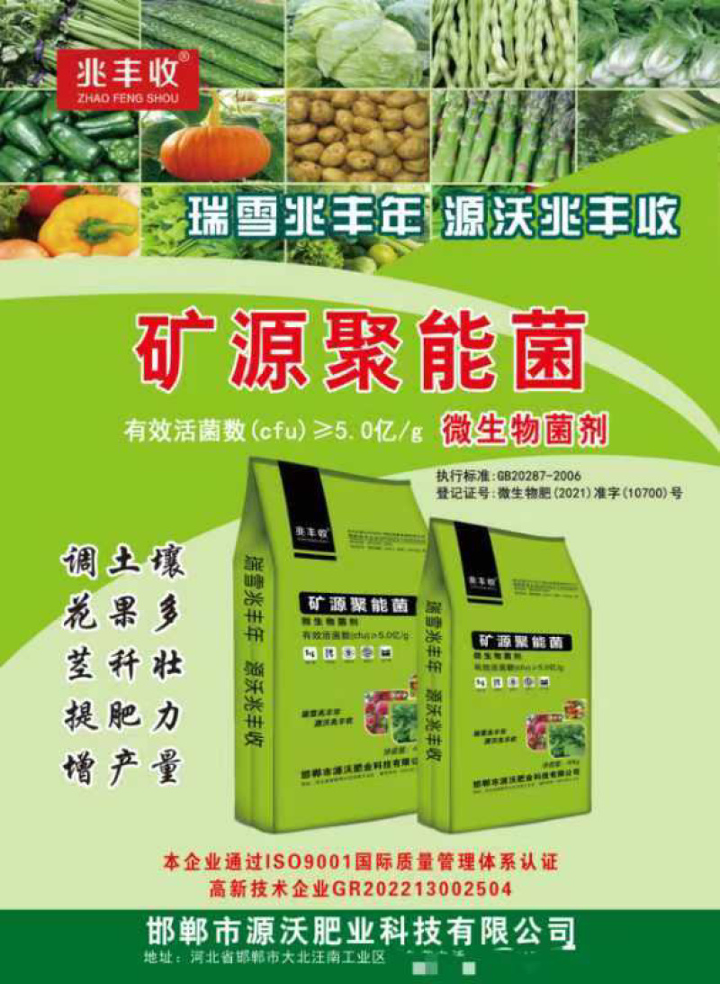 矿源聚能微生物菌剂特种肥料