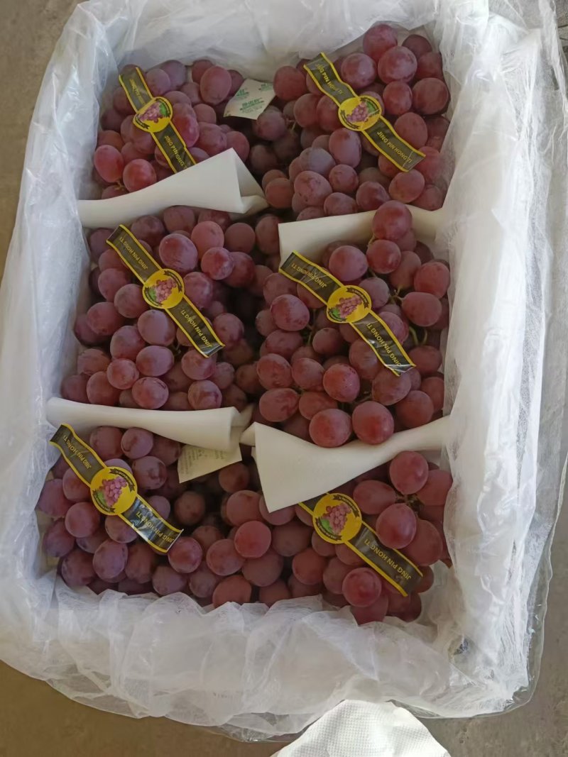 敦煌精品红提葡萄冷库货，大量供应欢迎来电联系