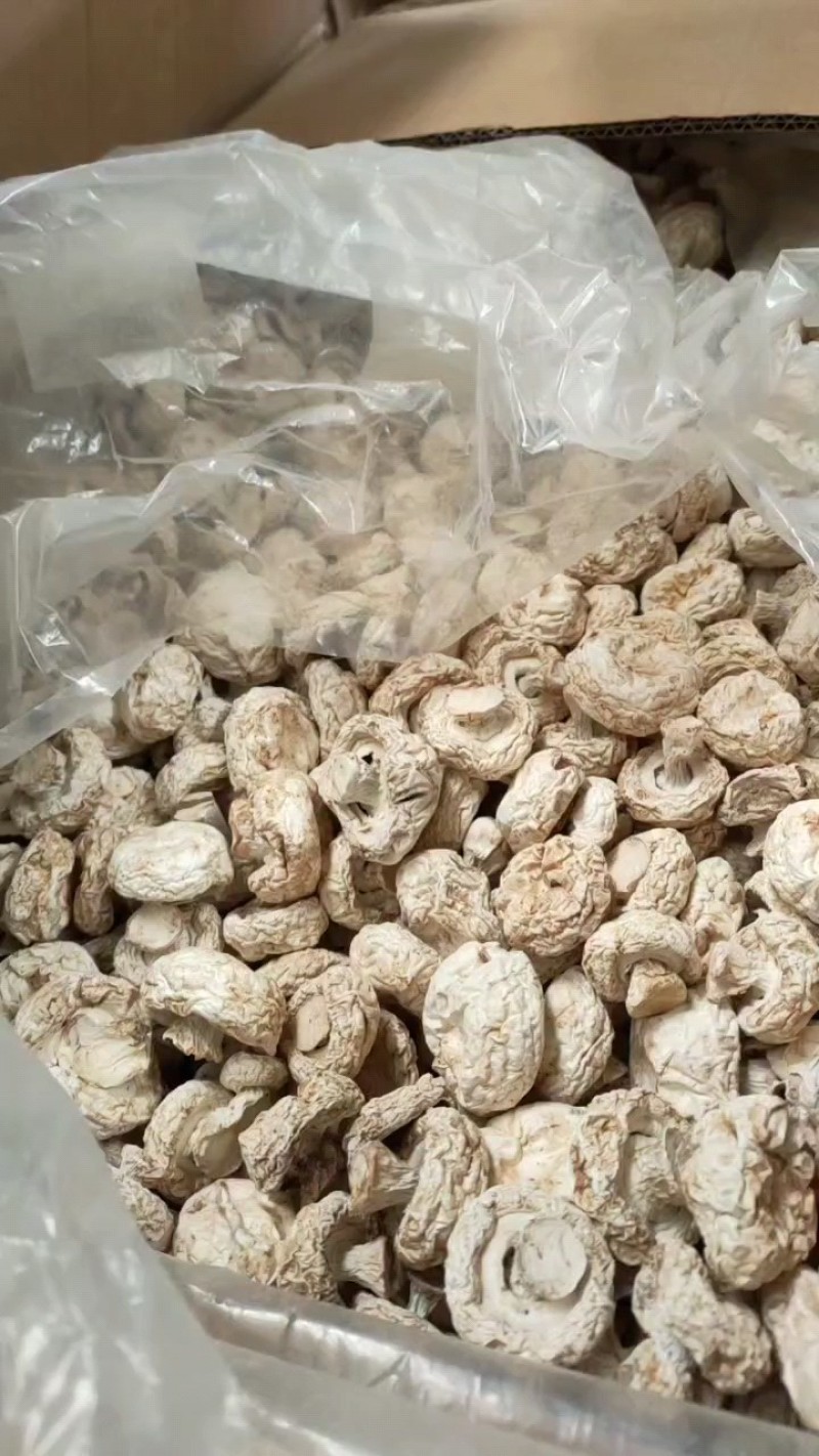 口蘑干品（双孢菇）