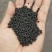 哈茨木霉菌菌体钛蛋白微生物菌剂每克10亿菌厂家直销