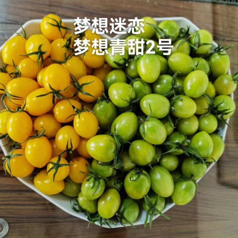 圣女果苗，颜色多，糖度高，抗病性强，产量高