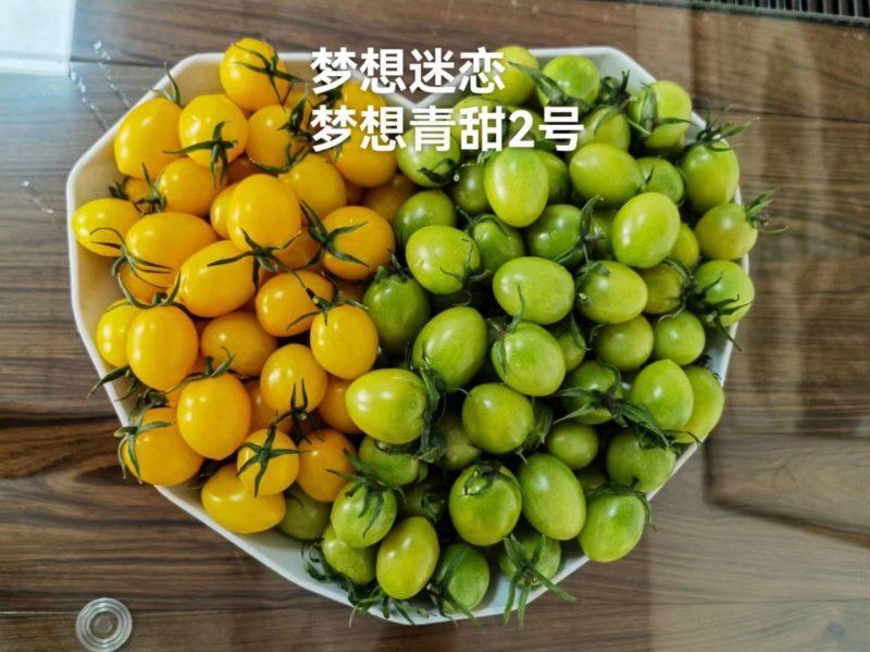 圣女果苗，颜色多，糖度高，抗病性强，产量高