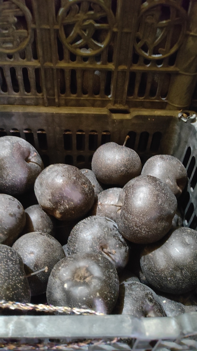 苹果梨冻梨个大皮薄肉嫩多汁适合电商市场批发