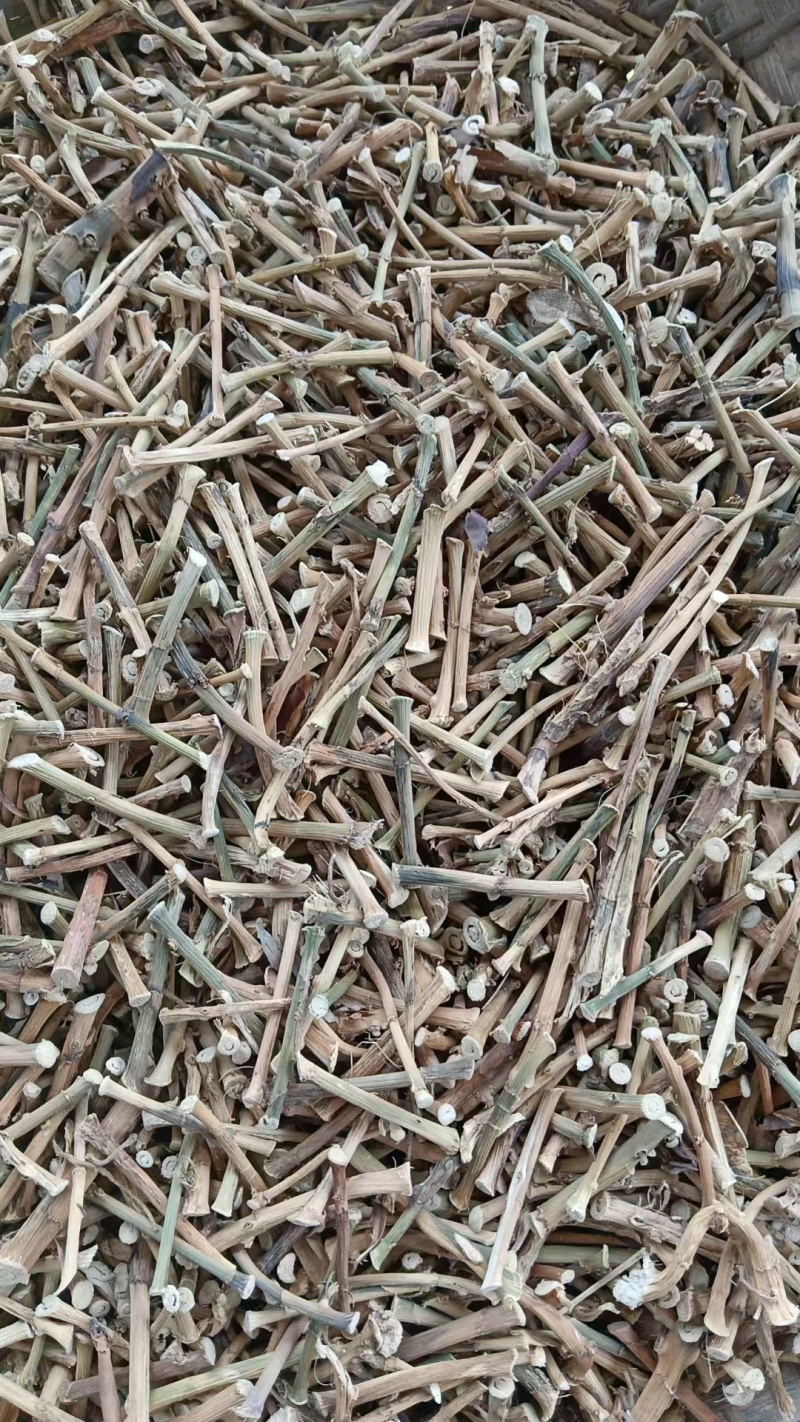 云南精品砂仁根产地直发品质保证量大从优一手货源