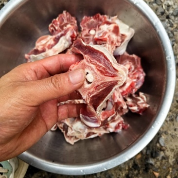 羊蝎子