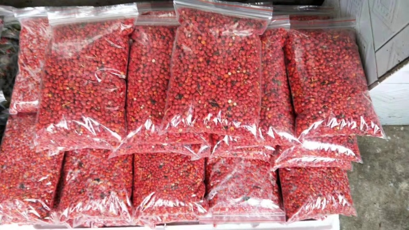 云南滇重楼种子去壳净籽七叶一枝花种子提供种植技术指导