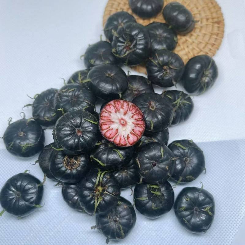 优质红果参【中药红果参】产地直发，货量充足，质量保证