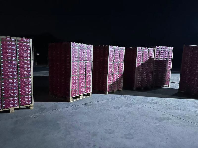 优质红果参【中药红果参】产地直发，货量充足，质量保证
