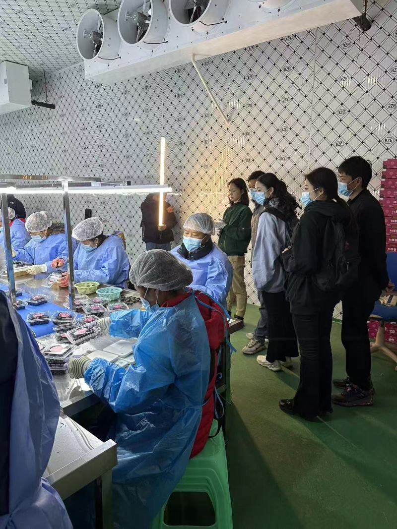 优质红果参【中药红果参】产地直发，货量充足，质量保证