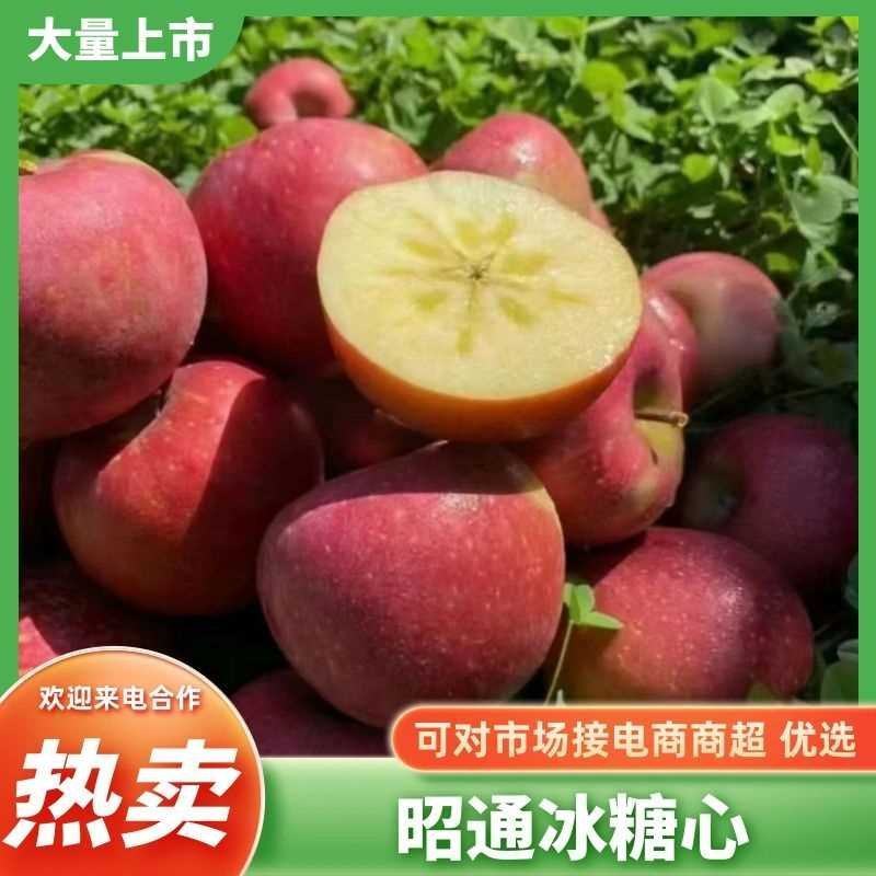 云南昭通冰糖心丑苹果高山种植外表丑口感好果园直接发货