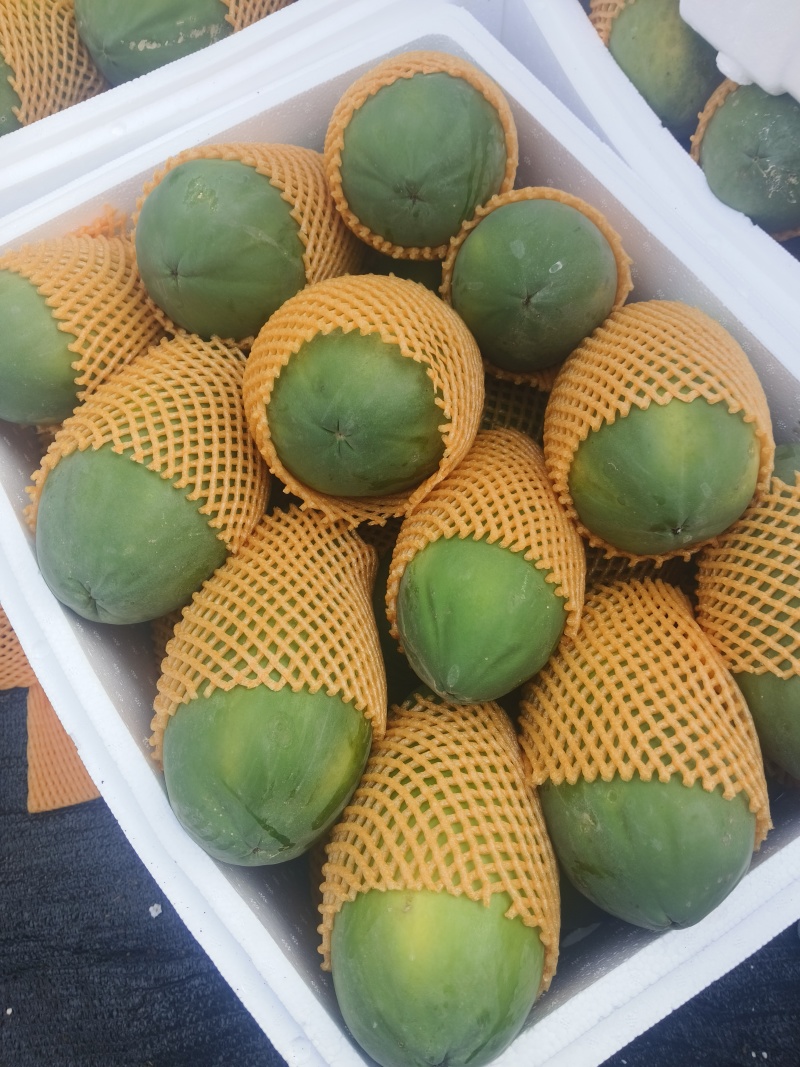 云南大青红心木瓜品质保证量大价优支持视频看货欢迎来电
