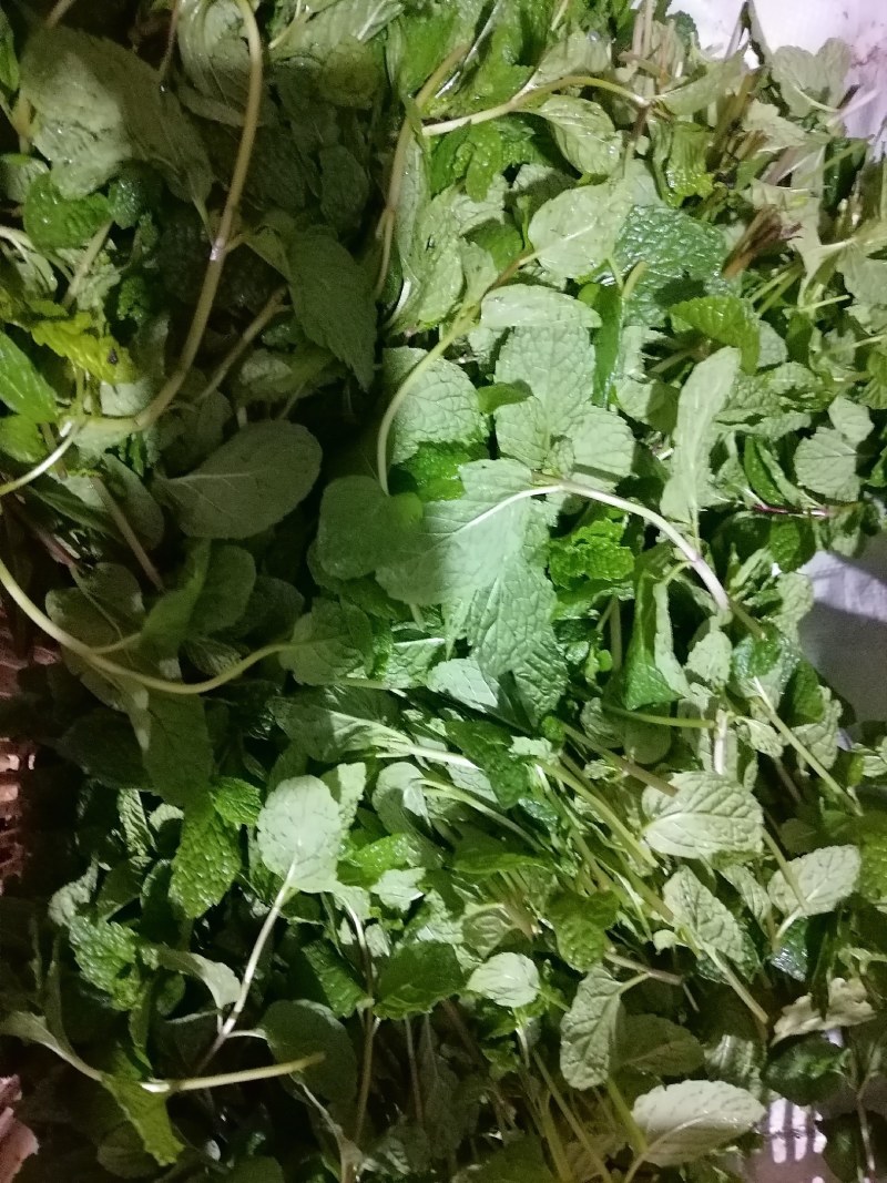 云南特菜野菜价格美丽色泽鲜艳，照片实拍