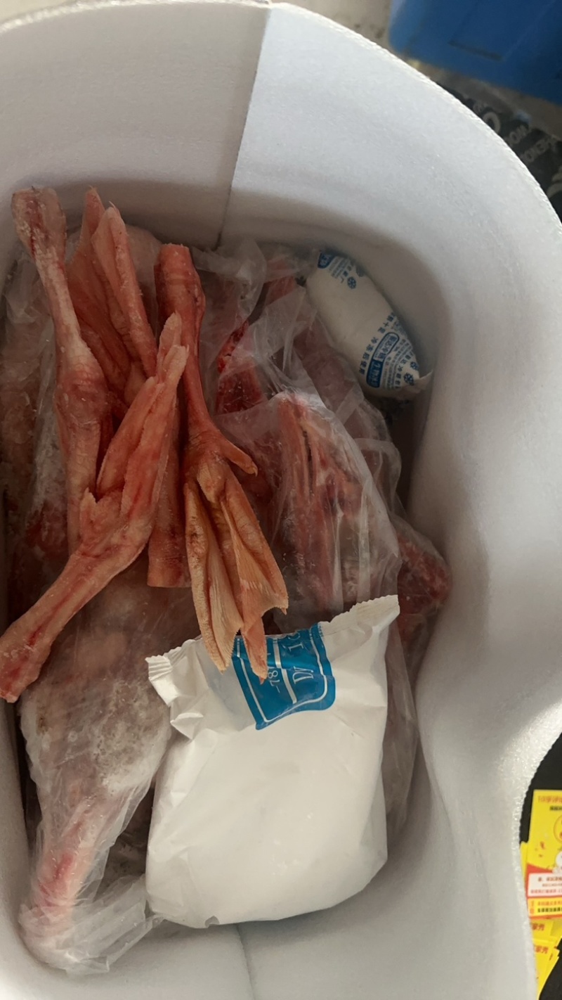 鹅肉