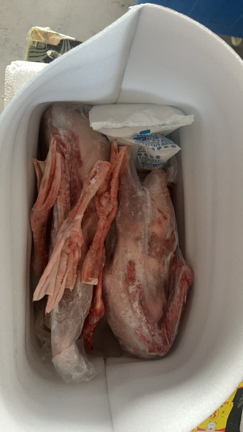 鹅肉