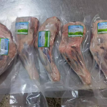 热卖推荐/羊前腿/烧烤/重量均匀/物美质优/厂家批发