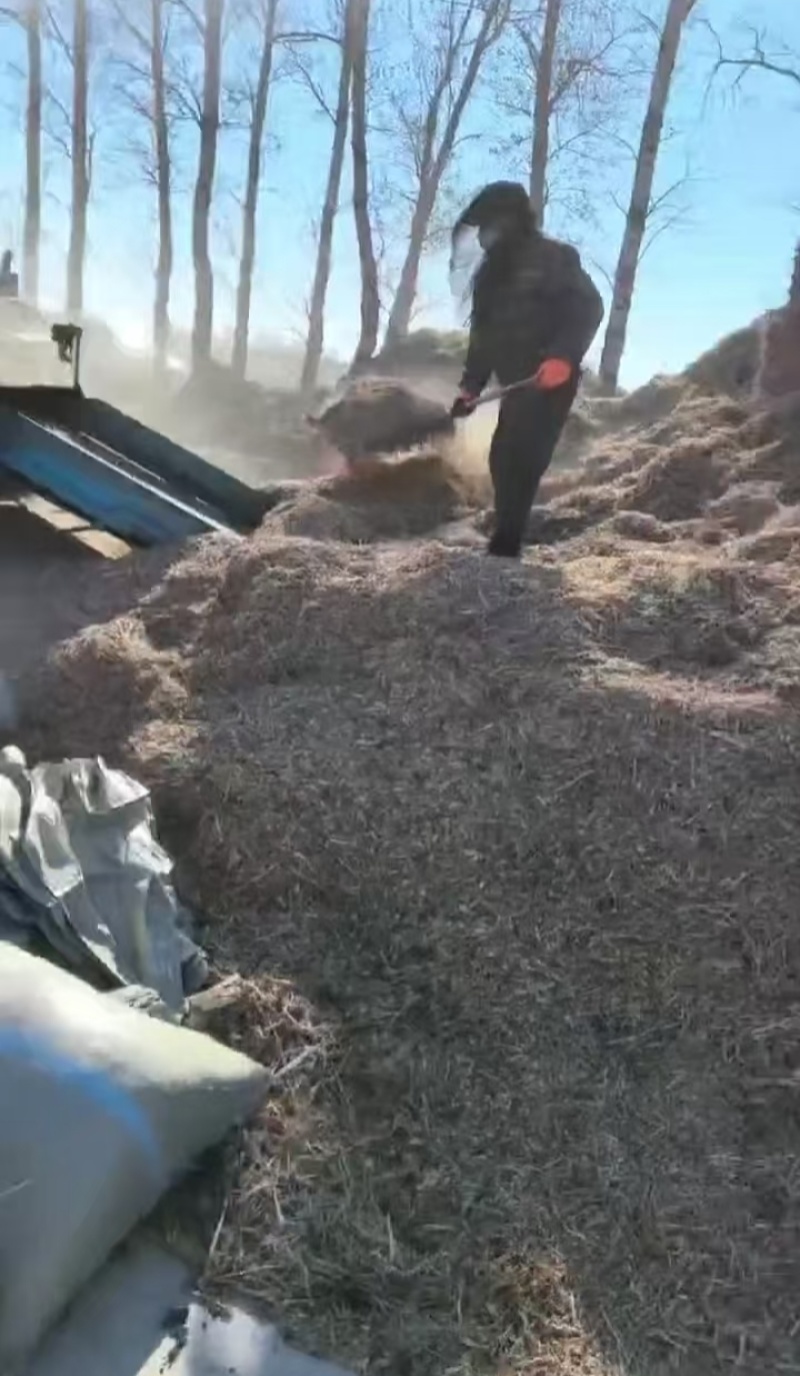 黄豆秸秆（黄豆皮子）负责装车一手货源没有中间商欢迎采购
