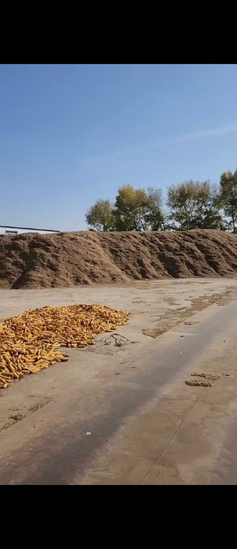 黄豆秸秆（黄豆皮子）负责装车一手货源没有中间商欢迎采购