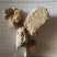 琥珀，矿石类，一斤也是批发价，现货，24小时内发货