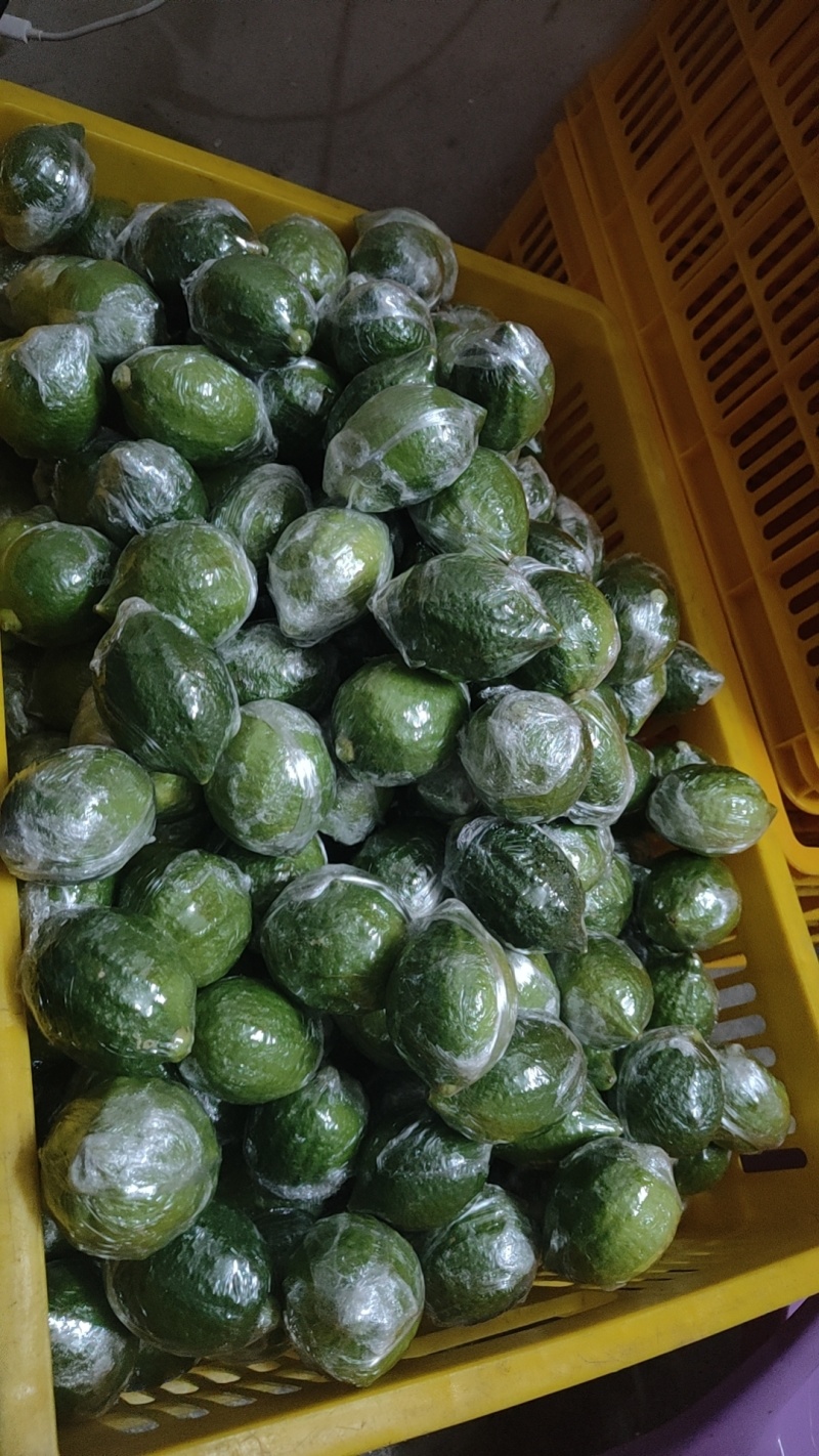 广东无籽香水柠檬