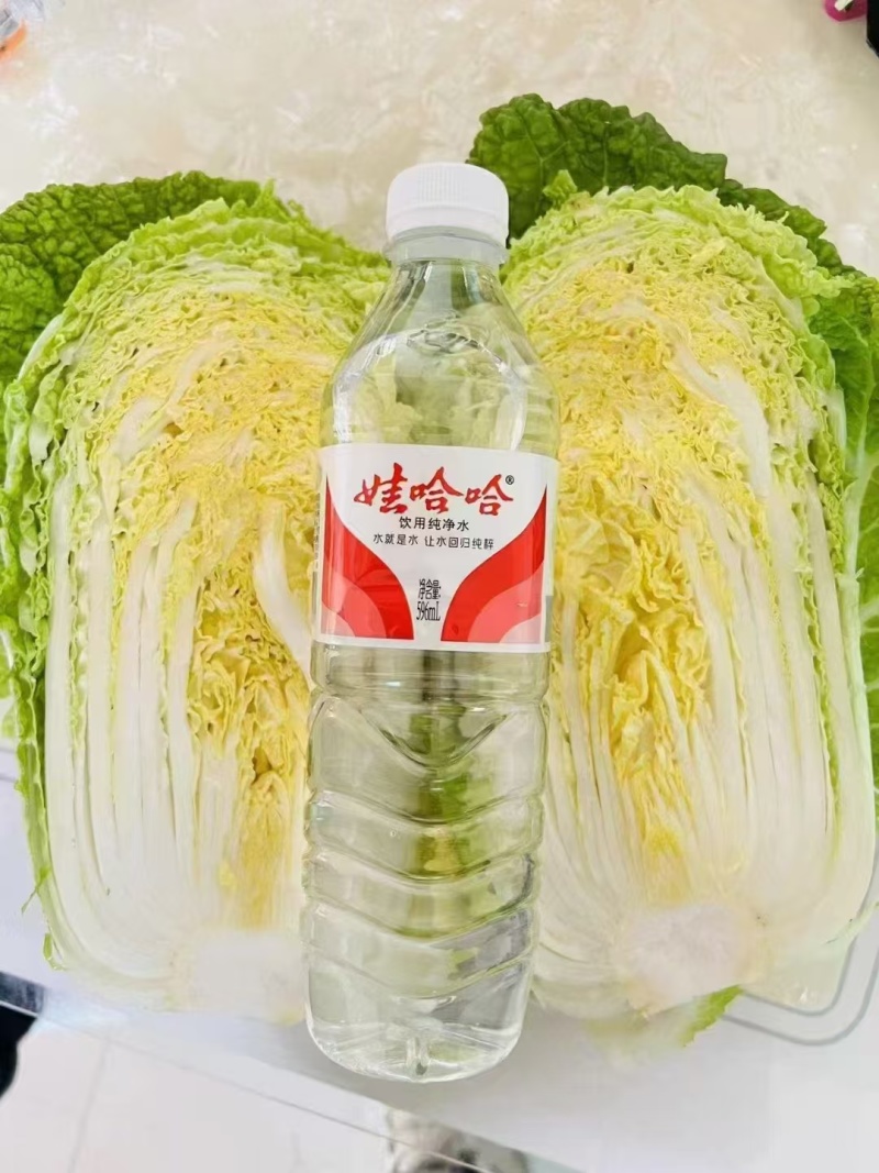 【推荐】宁夏黄心白菜供应市场商超电商量大价优