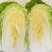 【精选】宁夏银川黄心白菜供应市场商超电商量大价优