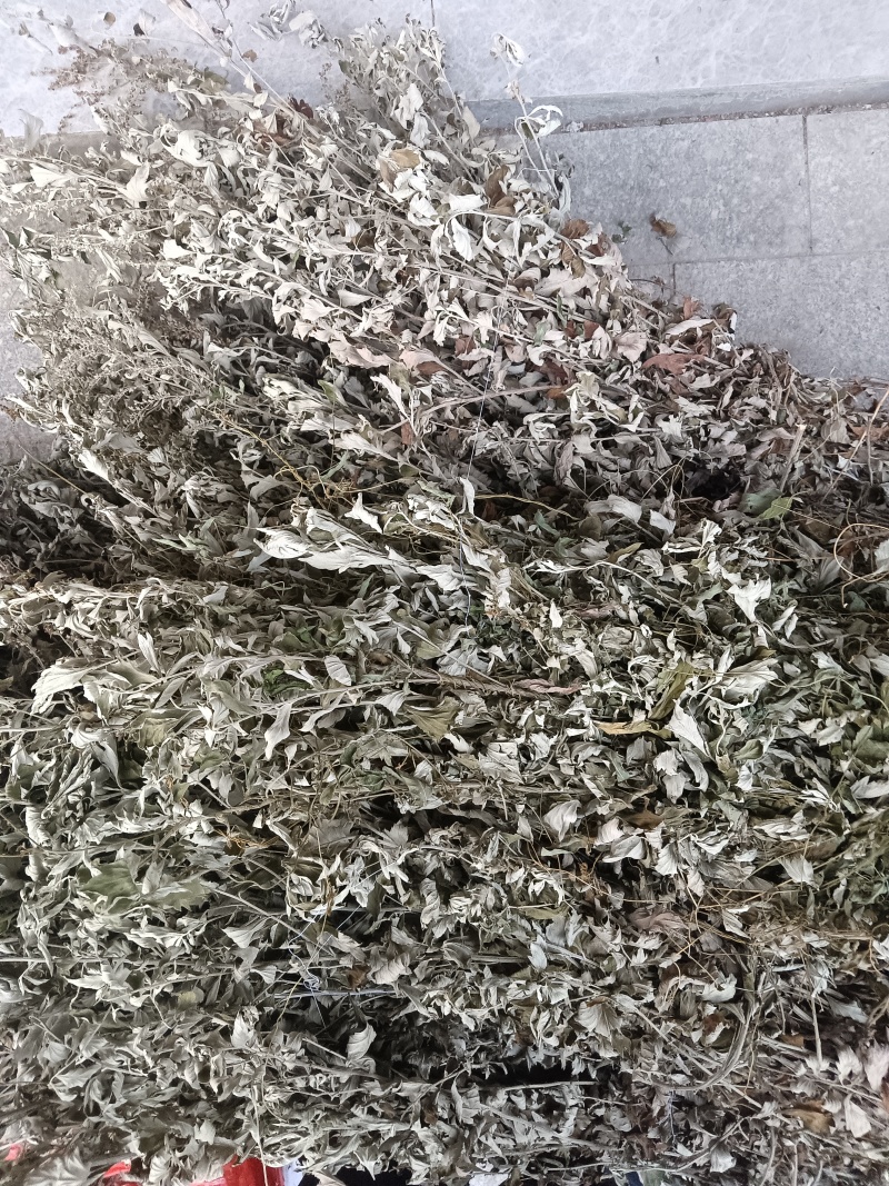 艾草，生在荒土之中，正在热卖之中，对各位需要的起着相当作