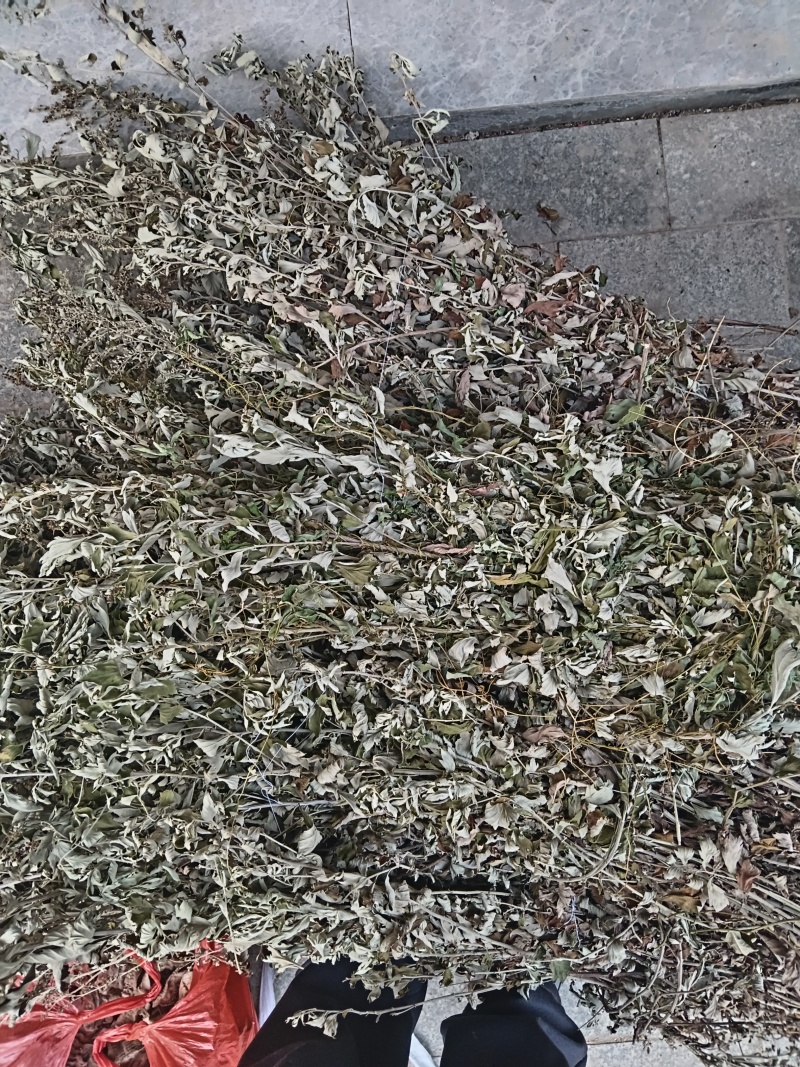 艾草，生在荒土之中，正在热卖之中，对各位需要的起着相当作