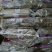 红薯粉条量大质优价格优惠品质好支持视频看货欢迎采购