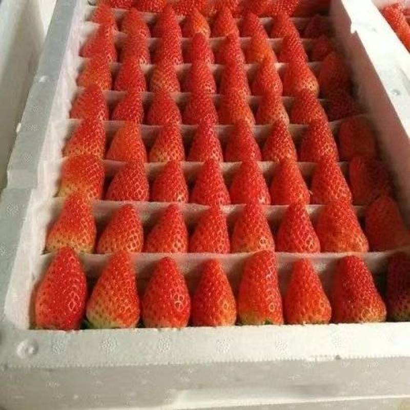牛奶草莓