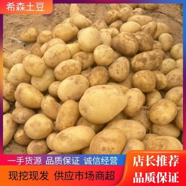 【推荐】内蒙古希森土豆供应市场商超电商量大价优