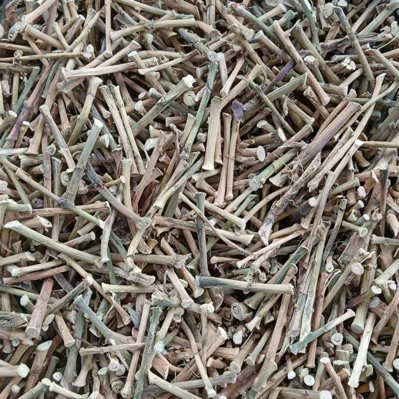 云南砂仁根中药材中药根茎药材精品砂仁根现货大量供应