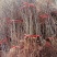 嫁接枣树苗特大耐寒地栽庭院盆栽阳台沾化冬枣明年结果包邮价