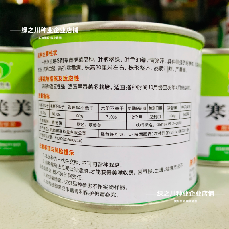 秋冬耐寒菜籽寒美美青梗菜种子抗寒油菜青菜种子春季耐抽苔