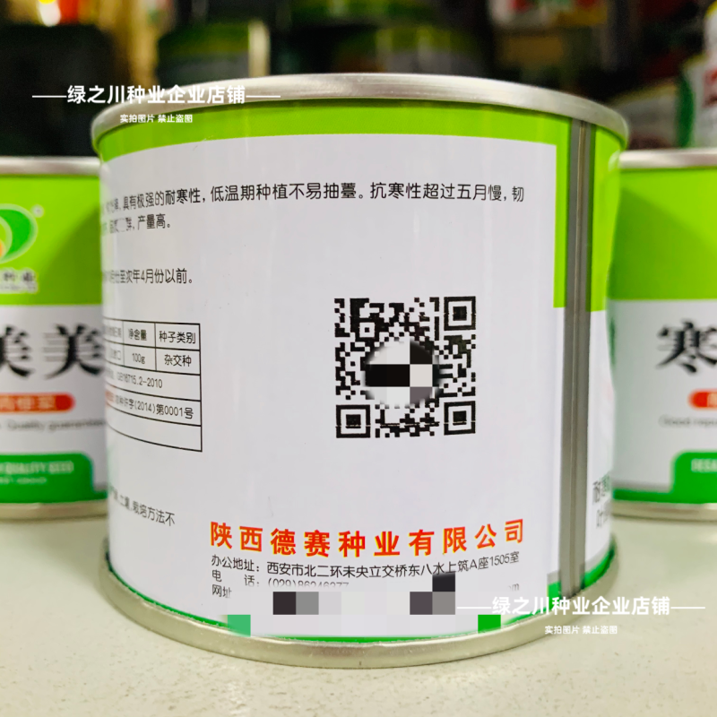 秋冬耐寒菜籽寒美美青梗菜种子抗寒油菜青菜种子春季耐抽苔