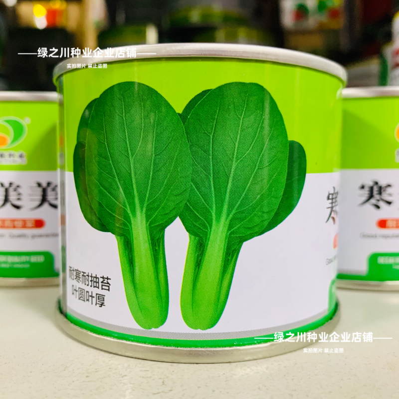 秋冬耐寒菜籽寒美美青梗菜种子抗寒油菜青菜种子春季耐抽苔