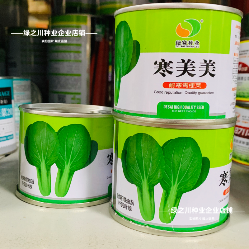 秋冬耐寒菜籽寒美美青梗菜种子抗寒油菜青菜种子春季耐抽苔
