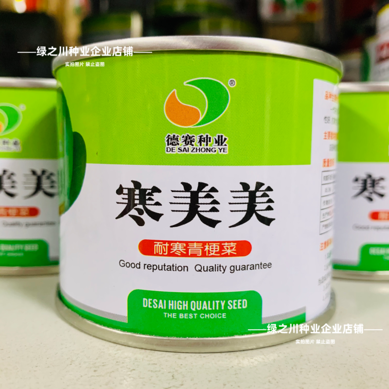 秋冬耐寒菜籽寒美美青梗菜种子抗寒油菜青菜种子春季耐抽苔